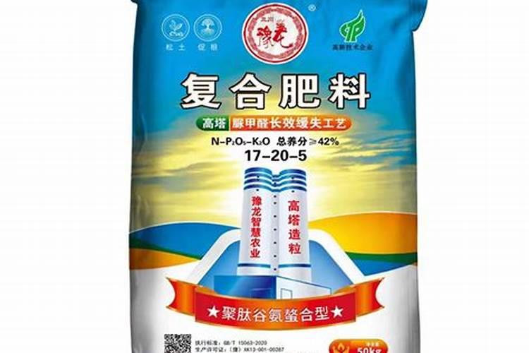 金丝猴蕨叶子干枯怎么办