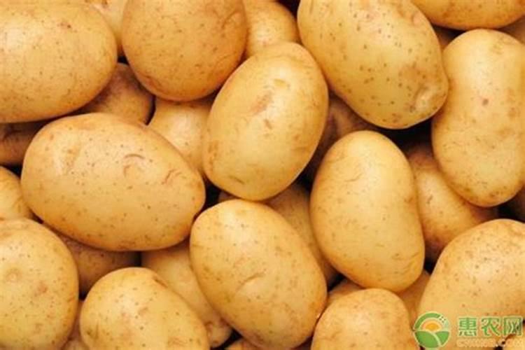 土豆施肥用什么肥料