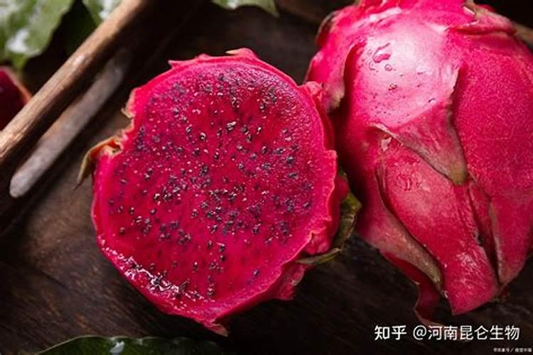 火龙果施什么肥最好