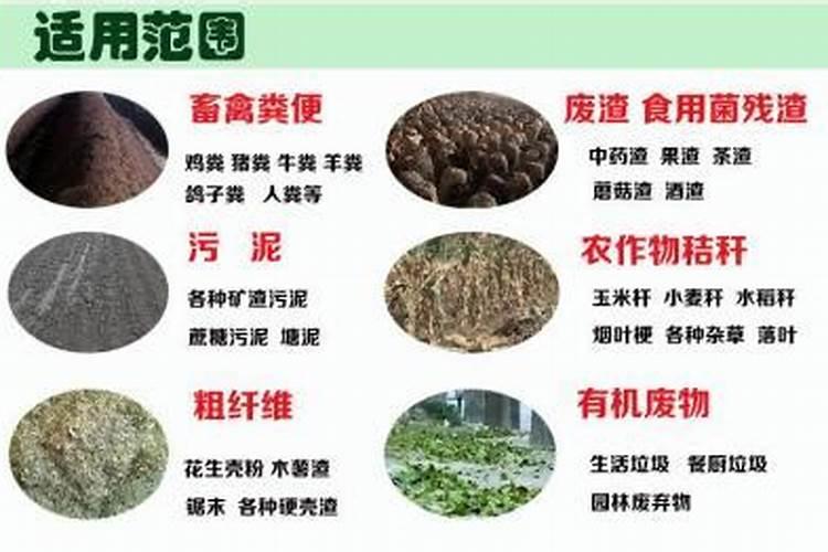 变质的大米要怎么用来做花肥