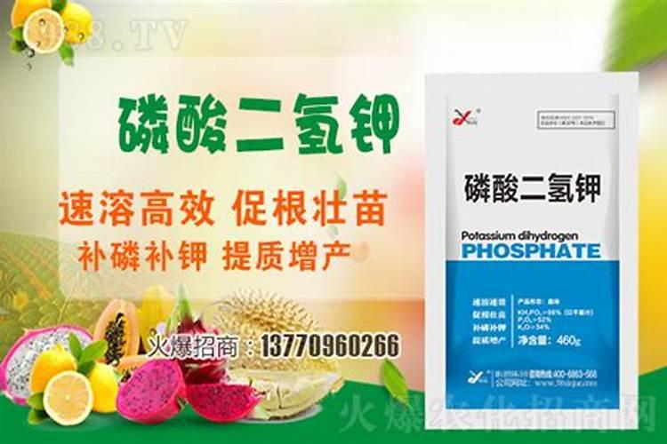 如何自制磷肥