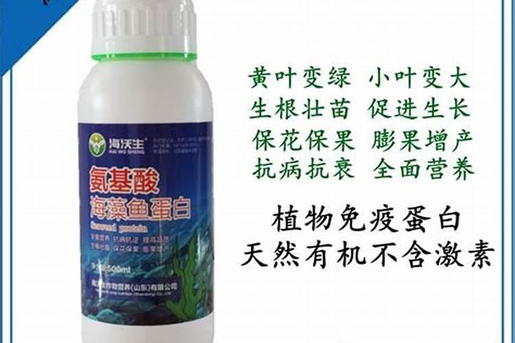 洋葱的行距和株距是多少