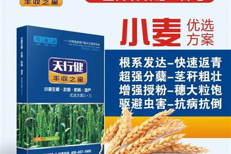 小麦叶面肥有什么品种