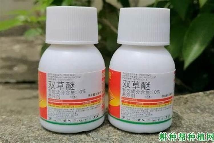 水稻杀稗草最有效的药