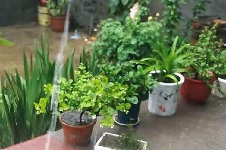 厨余沤肥的氮磷钾含量