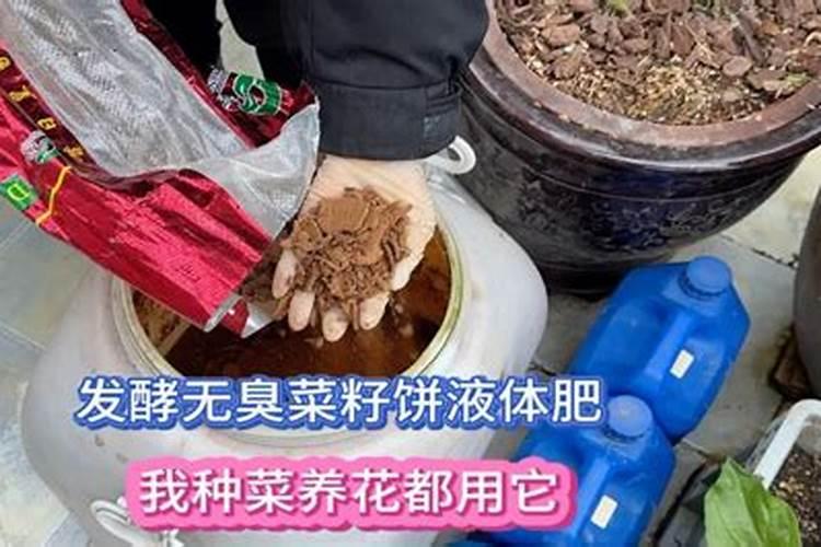 菜子饼发酵多久才可以作为肥料施肥