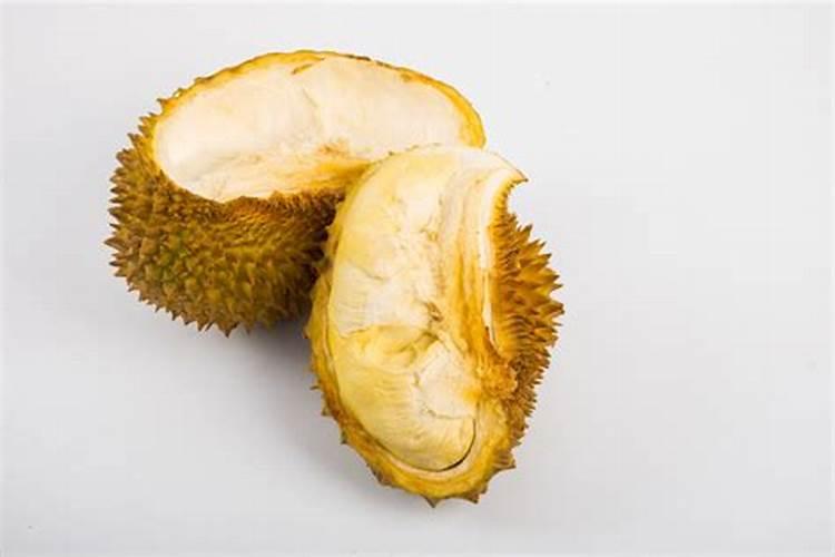 榴莲种子怎么种植
