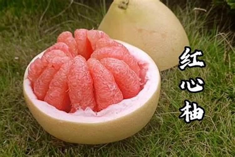 红心蜜柚苗施用肥料