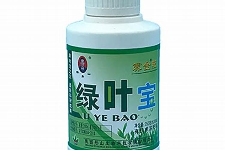 玫瑰花怎样种植