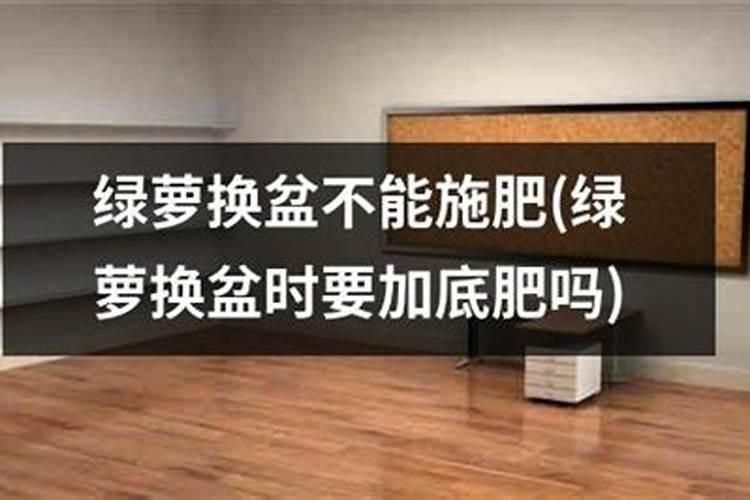 绿萝底肥放什么肥好 底肥施用方法