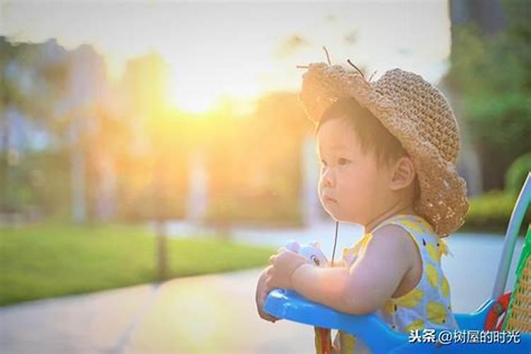 矮牵牛叶子发黄不长是缺肥吗 矮牵牛卷叶怎么回事