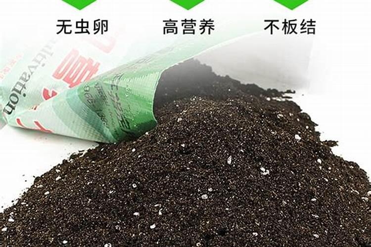 园艺花卉营养土什么牌子好