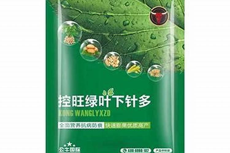 如何给金钱树施肥长得好