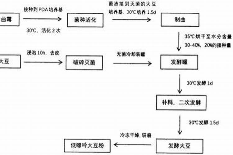 用黄豆做肥料怎么使用？