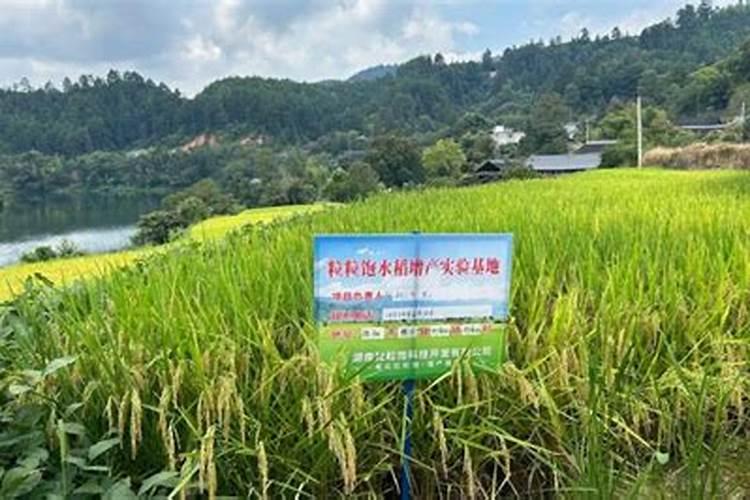 木醋液的实际应用