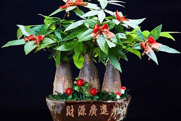 尿素中含氨基酸 氯化钾对水稻有什么好处