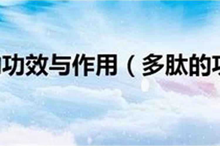 酵母肽肥哪家的质量好