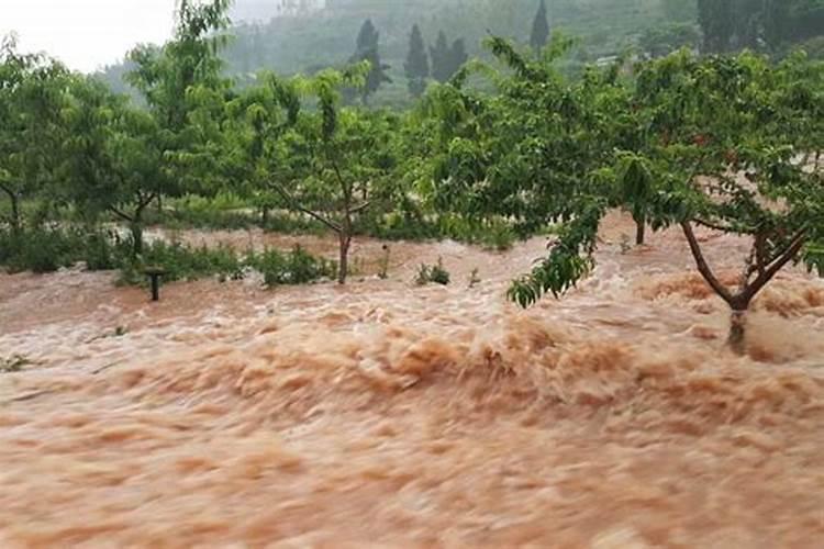 如果刚施完肥遇到了下雨天,会不会导致肥料流失呢？