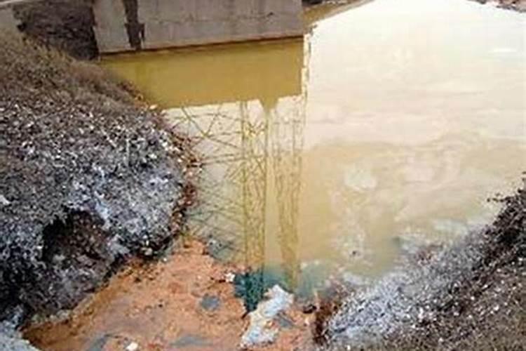 镉超标的稻谷怎么处理？