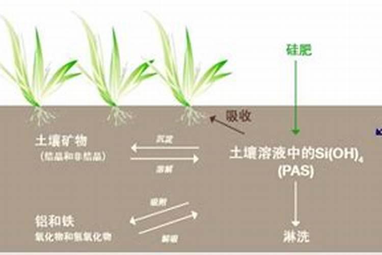 奥力硅的作用和性能