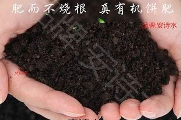 液氨的危险特性 危险特性大吗