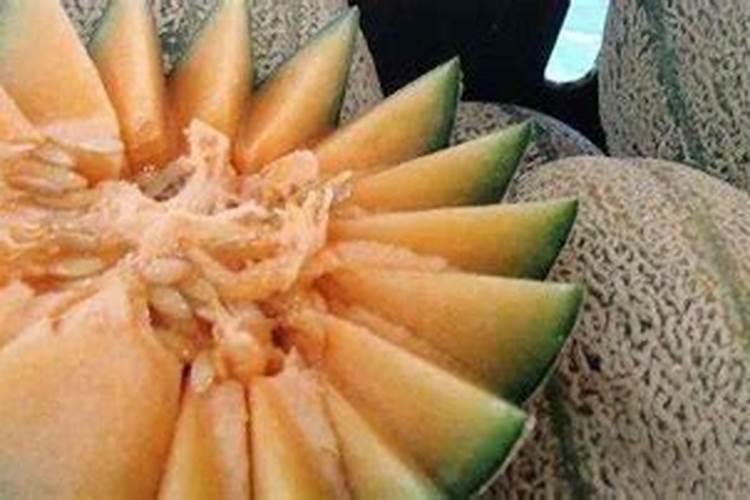 哈密瓜高产,施水溶肥要注意什么？