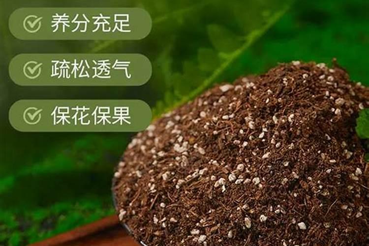 多肉适合什么肥料 多肉最好的肥料