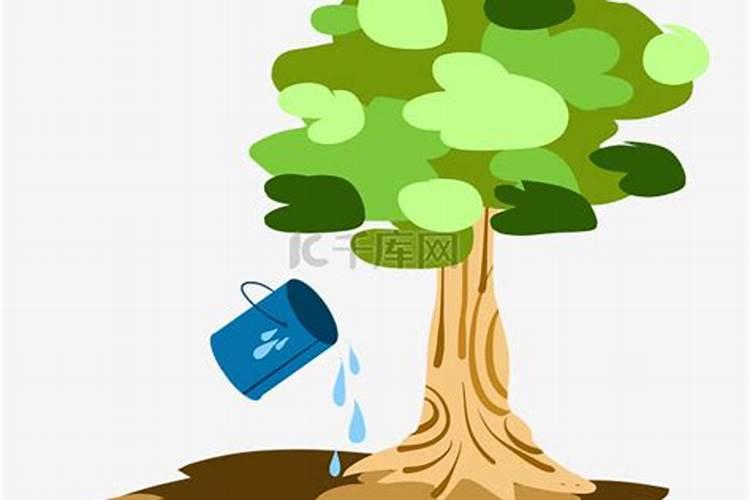 请问种树是施肥还是先浇水