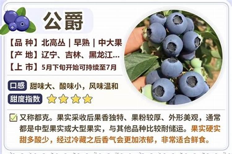 花盆中蓝莓施什么肥好