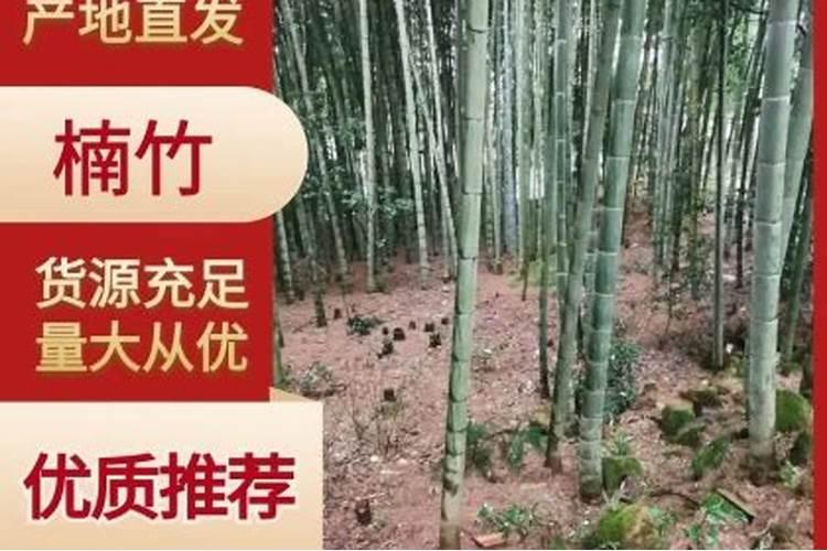 怎样去种兰花