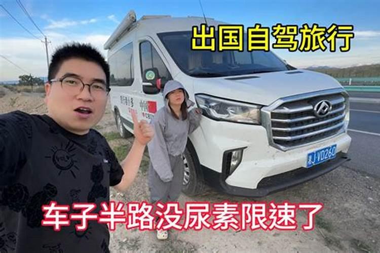 三角梅生长缓慢补充什么肥料