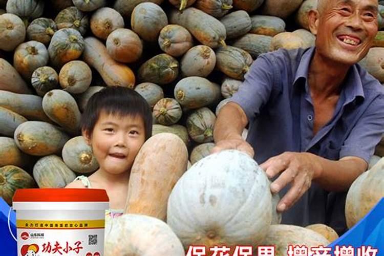 肥老头产品介绍