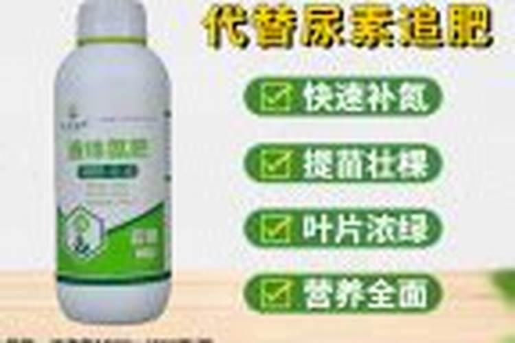 那种以友情为名义的化肥是什么意思