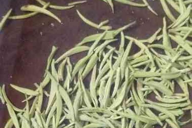 家里种了很多茶花,怎样才能让茶花的叶子变得油光发亮？
