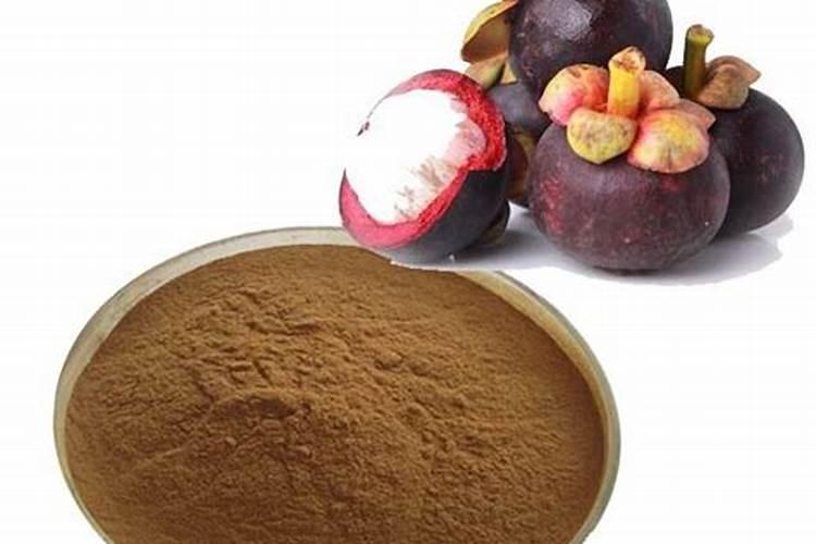 山竹种植技术和方法