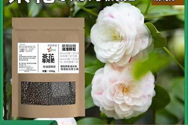 1克尿素要兑多少斤水浇花 (浇花使用尿素用量怎么配比)