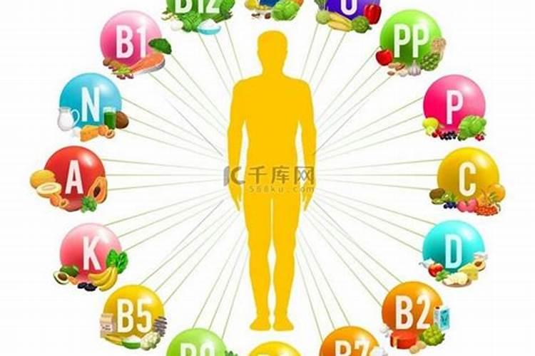 矿质元素、大量元素、微量元素分别是指什么？