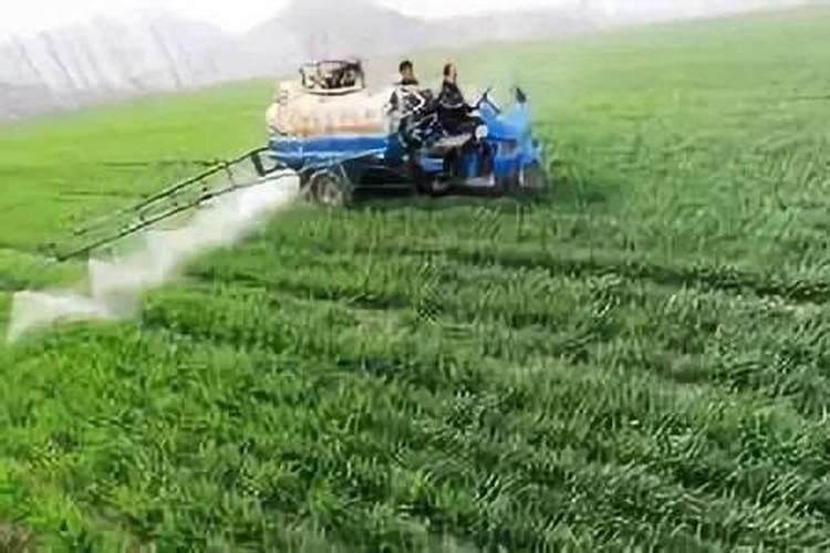 叶面肥和杀菌剂能混用吗 叶面肥和杀菌剂使用注意事项
