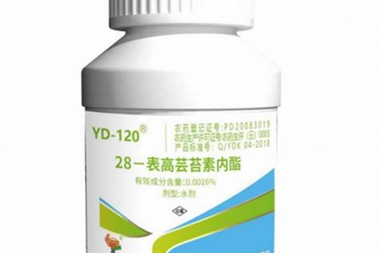 黄豆叶子发黄是什么原因 黄豆应该怎么种植