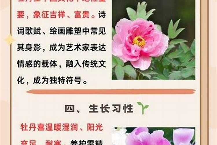 牡丹花前肥什么时候浇水好 牡丹花花前肥如何浇水