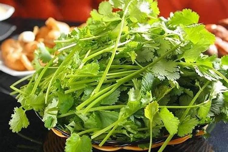香菜最怕三种肥料