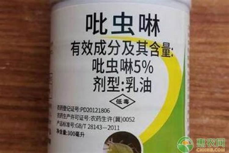 土里有小白虫子怎么杀死