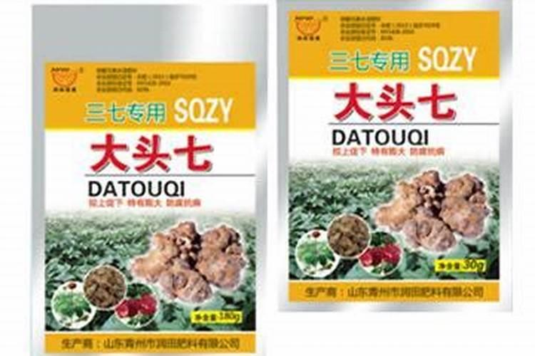 关于山茶花的小知识(有关山茶花的知识)
