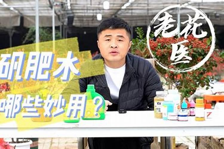 茶花要开花,施什么肥