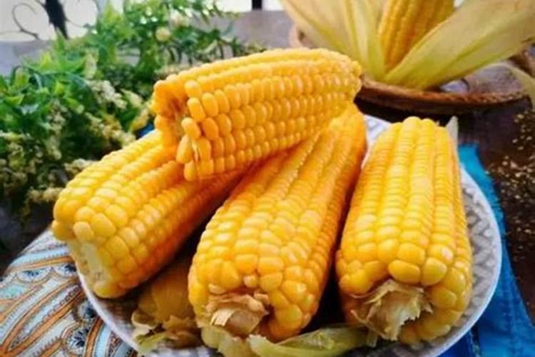 玉米施加钙肥的最佳时间 什么时候使用合适