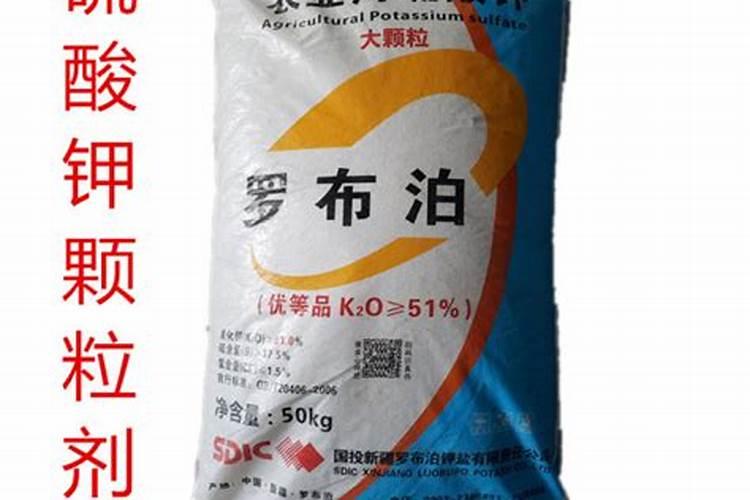 绿钻浇水多叶子变黄怎么办