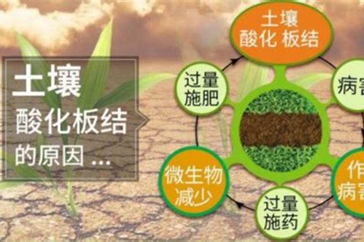 把土壤变成酸性较简单方法