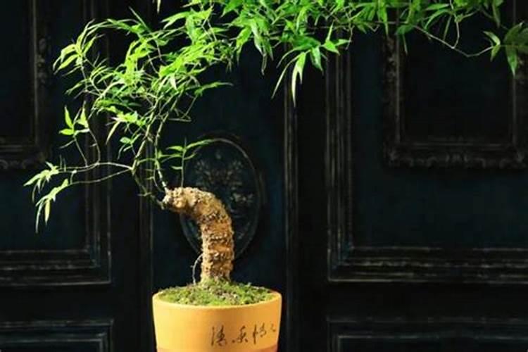 小麦上什么时候用辛肥 硼肥有什么好处