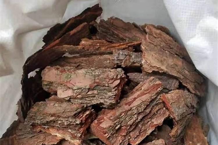 松树皮怎么发酵最快(松树皮2种发酵方法)