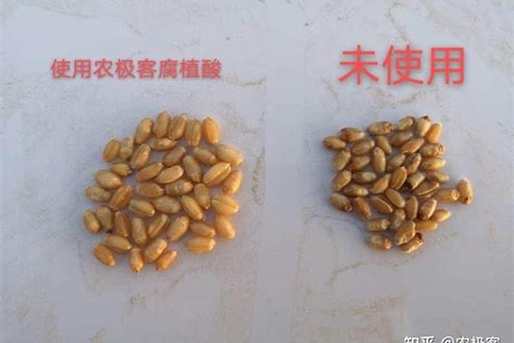 水溶肥硅肥用多少克